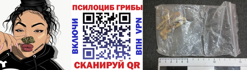 Псилоцибиновые грибы MAGIC MUSHROOMS  Нерехта 